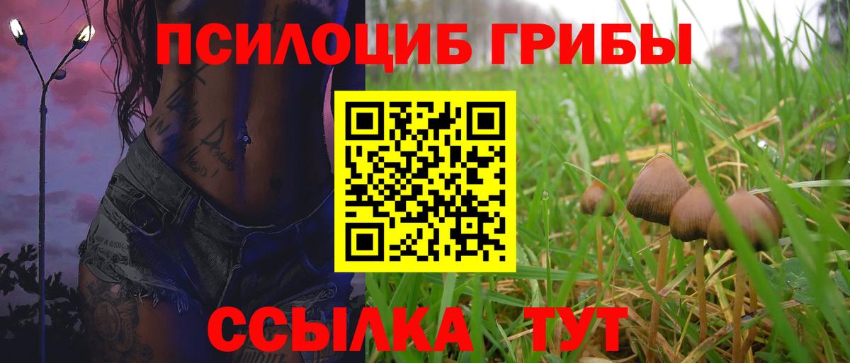 Сергиев Посад  Галлюциногенные грибы Magic Shrooms  Вход с VPN 