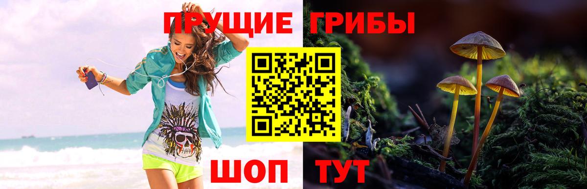 Псилоцибиновые грибы MAGIC MUSHROOMS Сергиев Посад